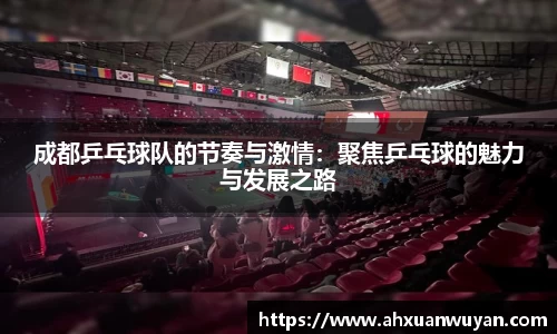成都乒乓球队的节奏与激情：聚焦乒乓球的魅力与发展之路